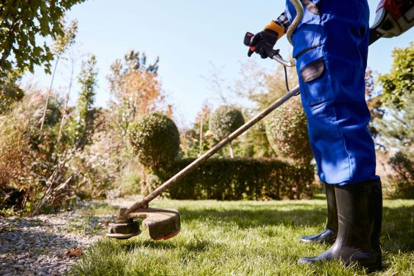 Gartenarbeiten und Rasenmähen